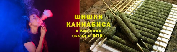 ПСИЛОЦИБИНОВЫЕ ГРИБЫ Горно-Алтайск