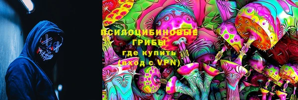 крисы Армянск