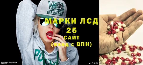 крисы Абаза