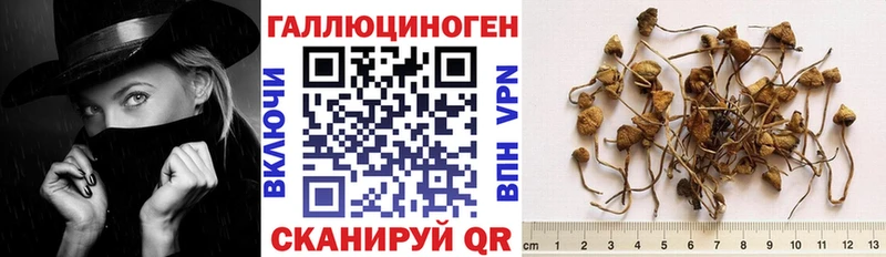 OMG ссылка  Старая Купавна  Галлюциногенные грибы Cubensis 