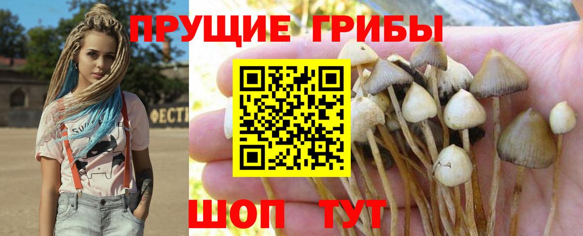 Галлюциногенные грибы Psilocybine cubensis  Вход с VPN  Старая Купавна 